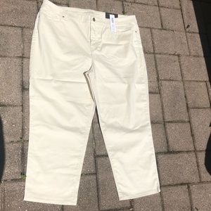 Chico’s Jeans Torrid